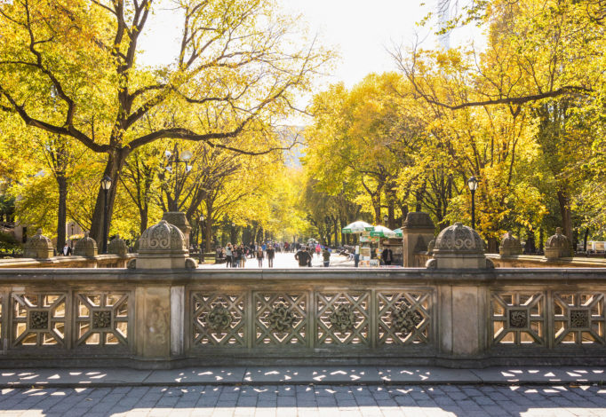 Magenta and Plaid – Statement Colors for Fall