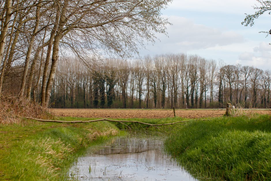 Philippine Streetwear Brands
